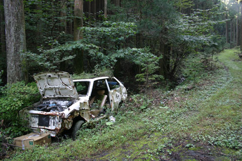 朽ちる車