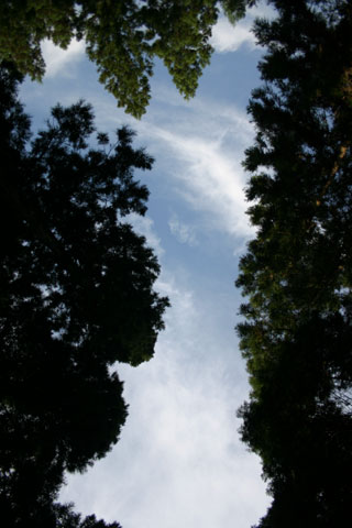 秋の空